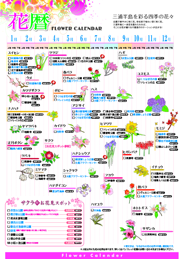 flower2026