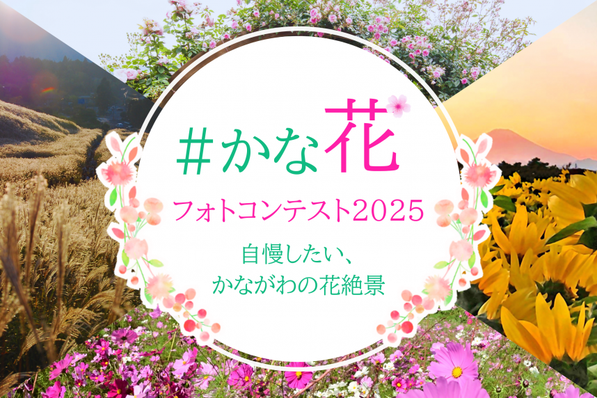 メインビジュアル