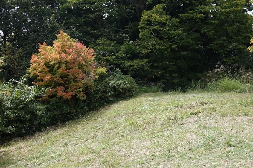 小仏城山山頂周辺