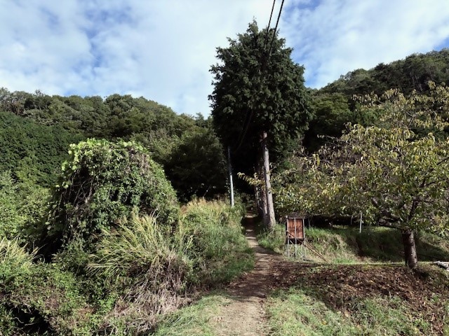 251005栃谷尾根登山口周辺