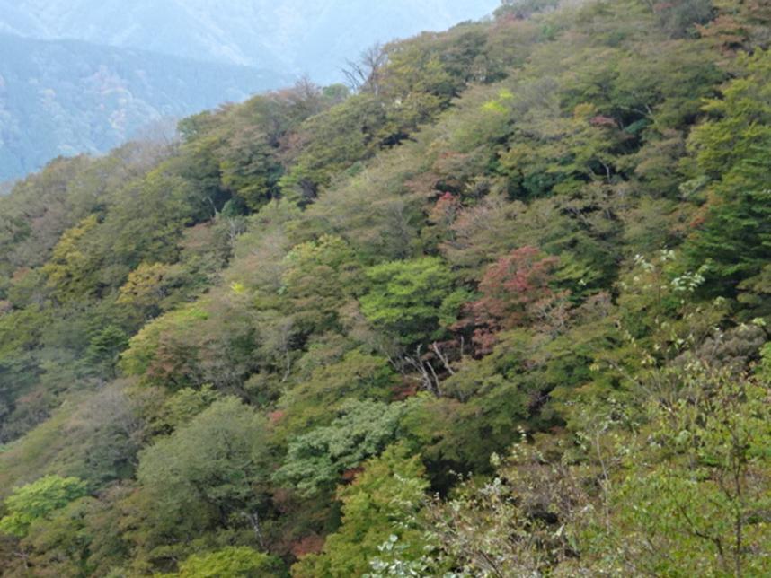 251025大山25丁目周辺