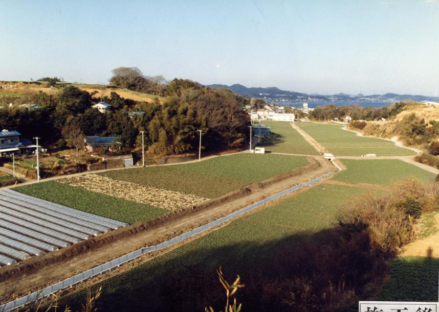 だぼやと地区の農地整備後の写真です