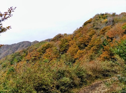 令和7年11月1日新大日周辺