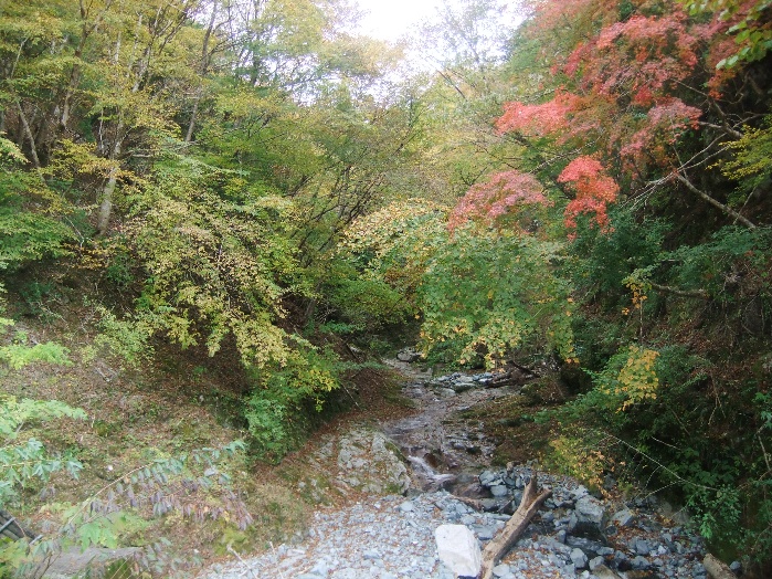 令和7年11月13日丹沢湖ユーシン渓谷
