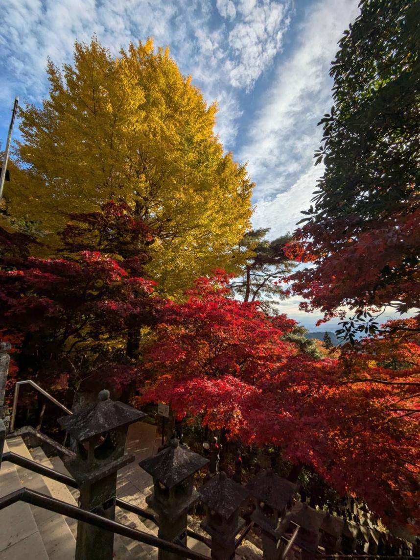 令和7年11月8日大山寺