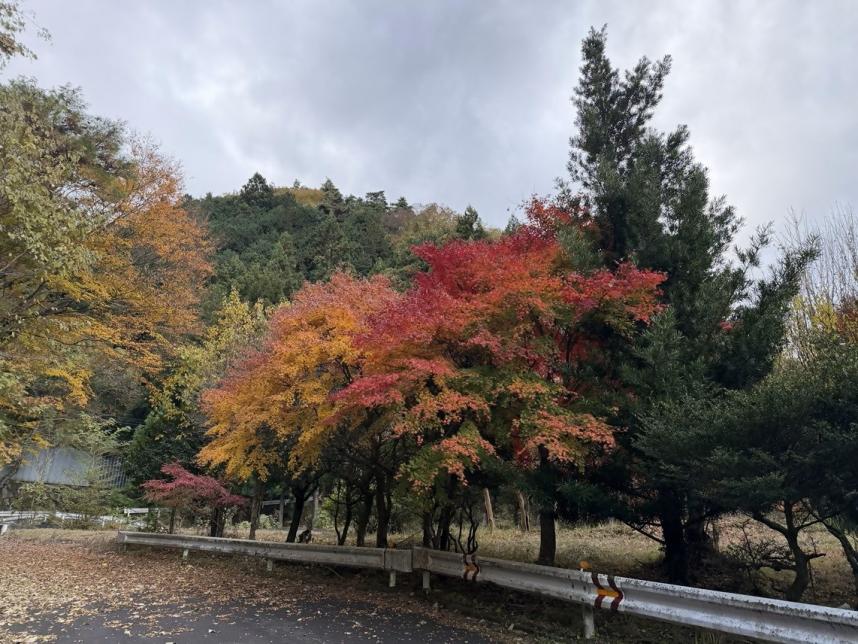 平丸登山口周辺