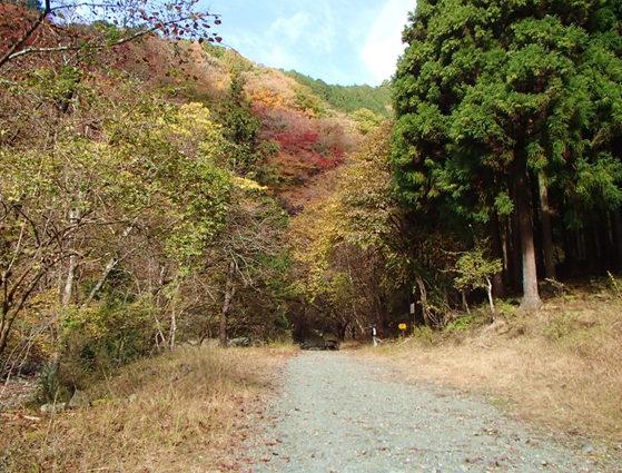 11月19日二俣周辺