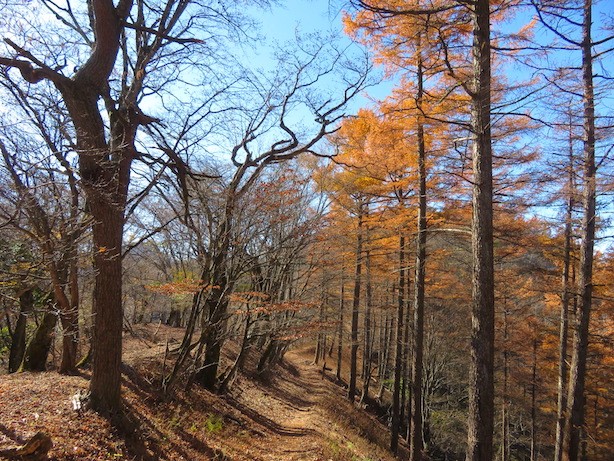 黍殻山 平丸分岐