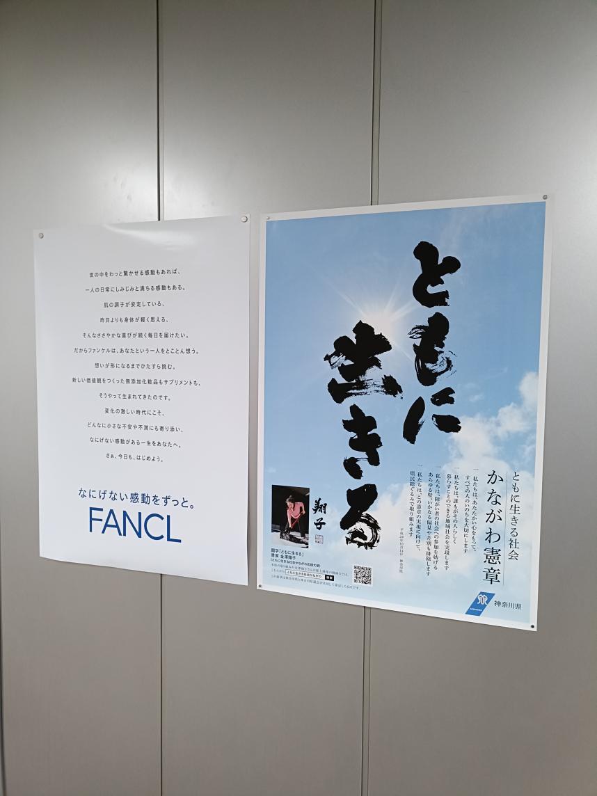 ファンケル写真