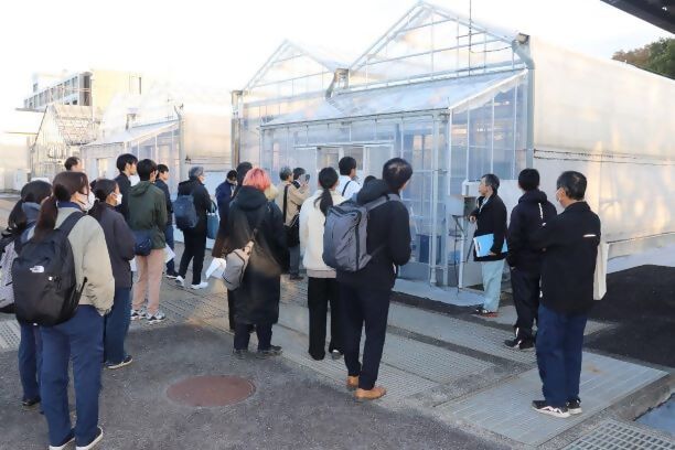 研究ほ場ツアー