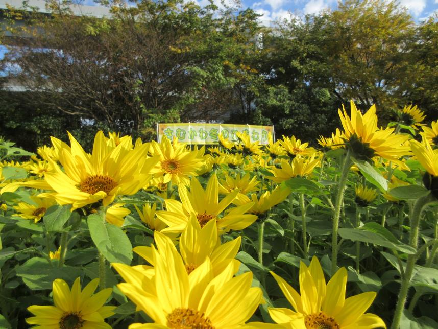 川とのふれあい公園