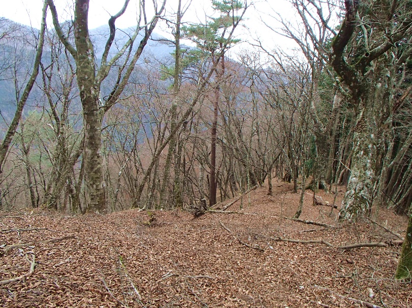 1203_100_04_nagao1150