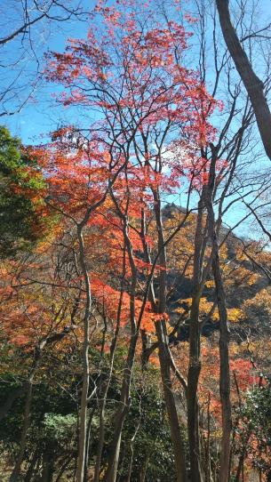 1204_38_02_tuchiyamahanbara