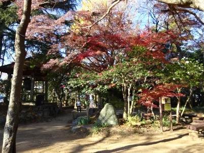 令和7年12月7日弘法山山頂