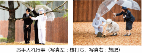 お手入れ行事