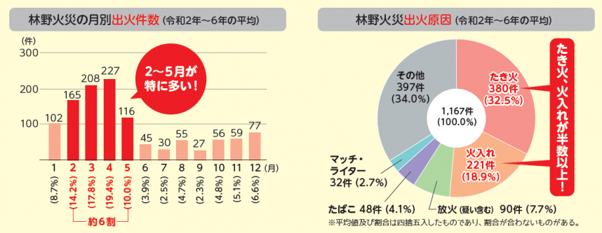 山火事の発生時期と原因