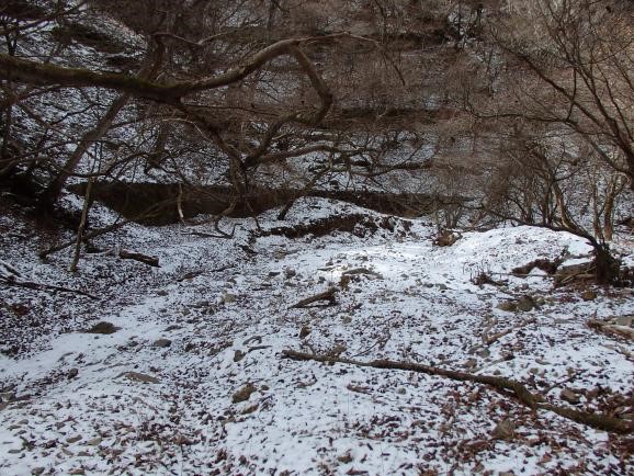 令和8年1月25日大山門戸口周辺
