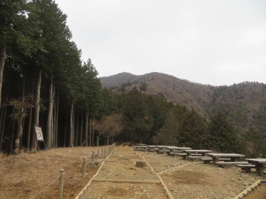令和8年1月28日大山見晴台