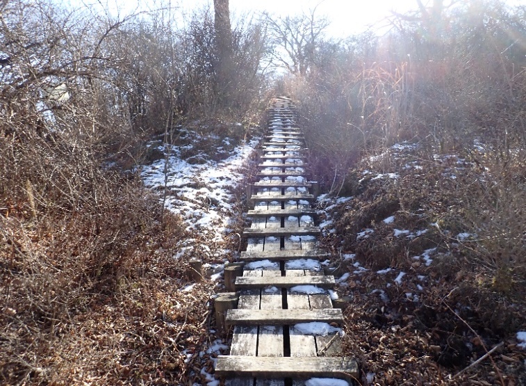 250118tennojionebunnki