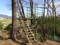 ツリーハウス写真