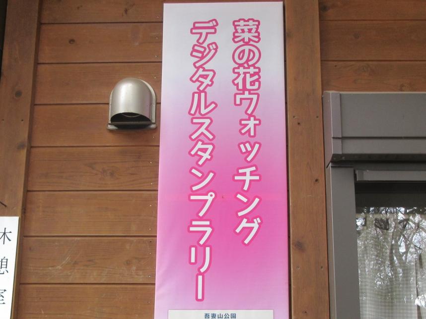 デジタルスタンプラリー