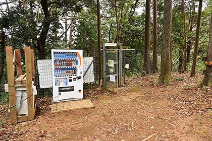 山の中にあるゲート