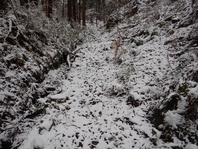 奈良本登山口周辺