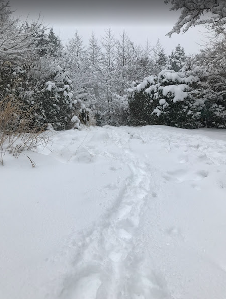 天神尾根分岐周辺