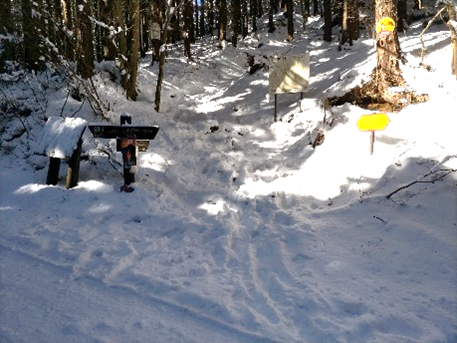 表尾根登山口周辺