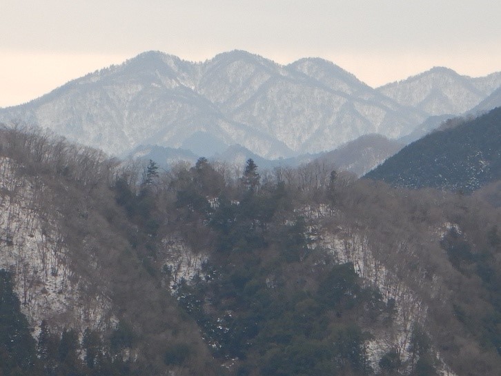 奈良本から見た丹沢三峰方面