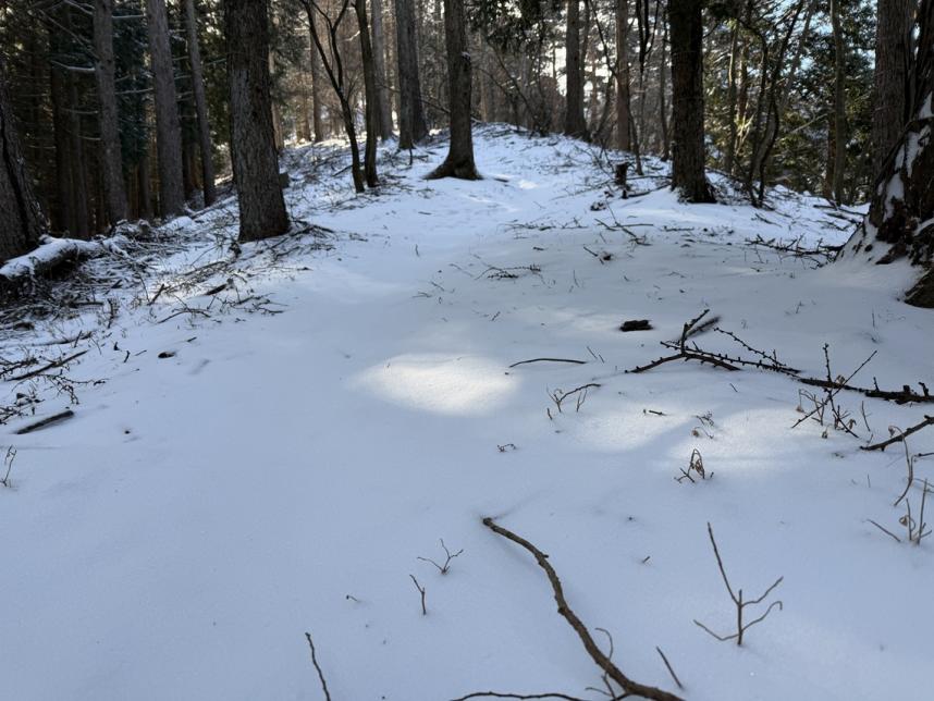 標高約1000メートル