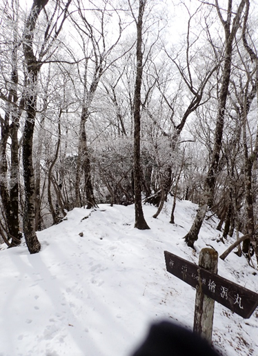 テシロノ頭山頂周辺