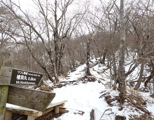 つつじ新道標高約1450メートル