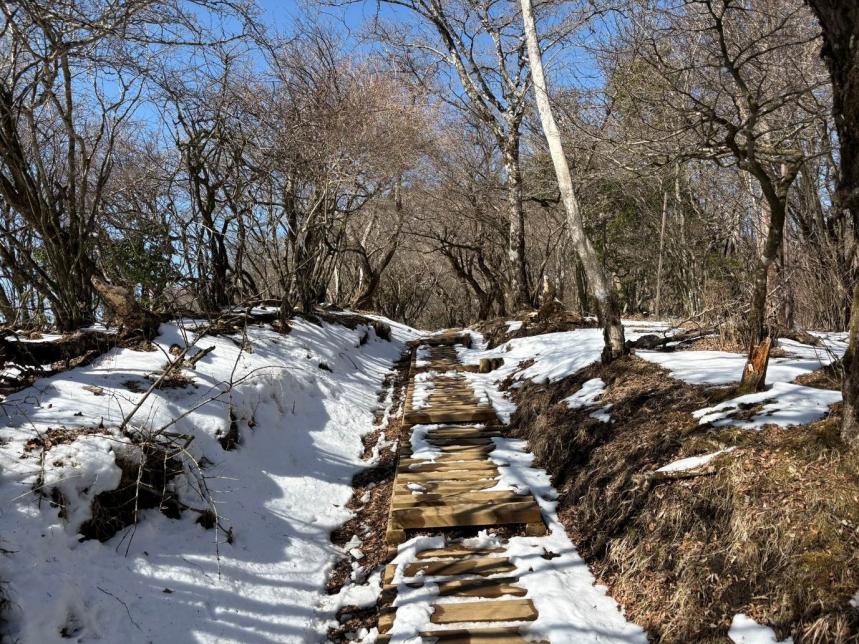 雷ノ峰尾根標高約1200メートル