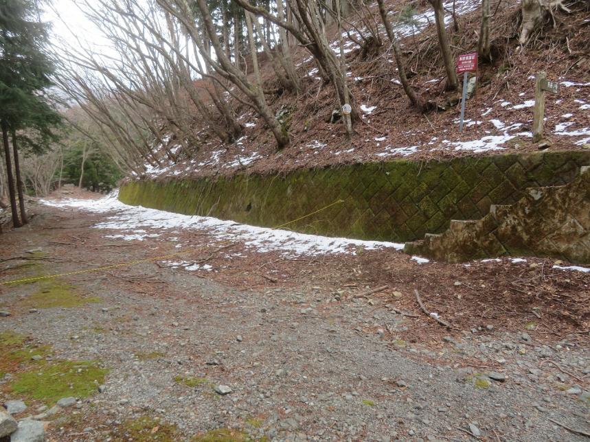 林道交点