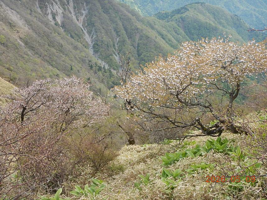 蛭ヶ岳山頂周辺