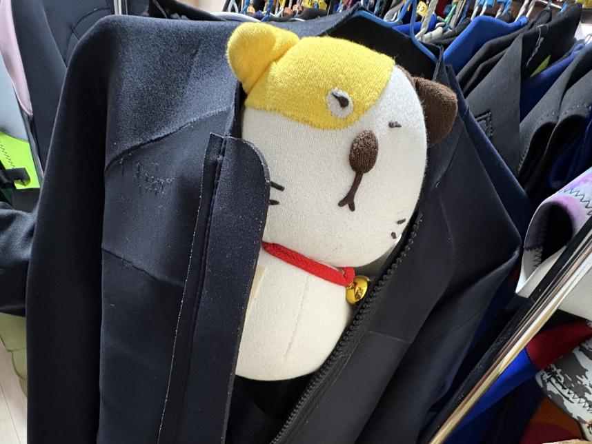 ウェットスーツを着るがはみ出してしまうかにゃお