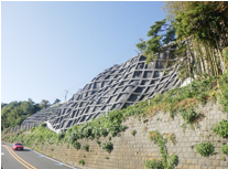 国道135号における法枠工による土砂崩落対策の画像