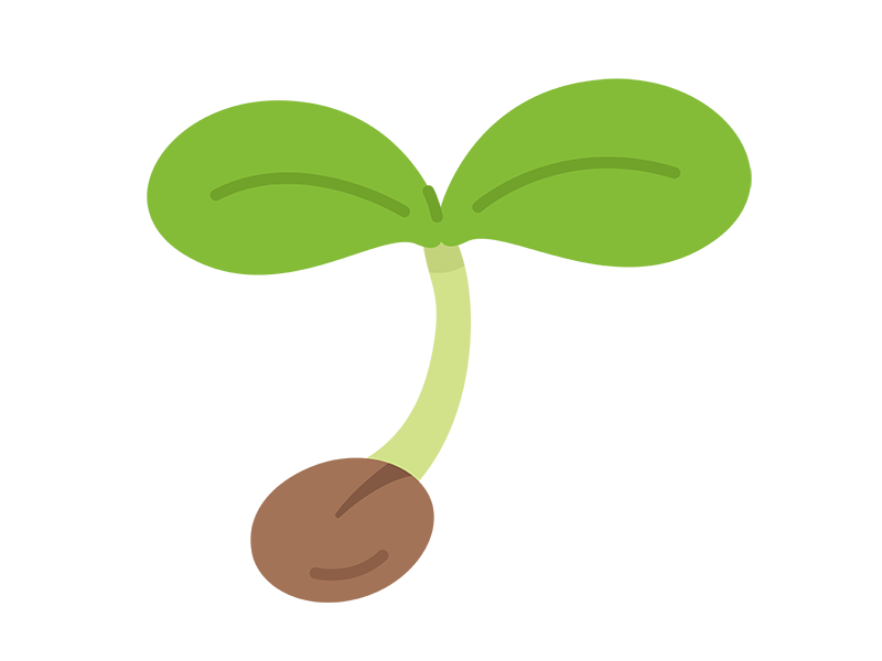 花のタネイラスト