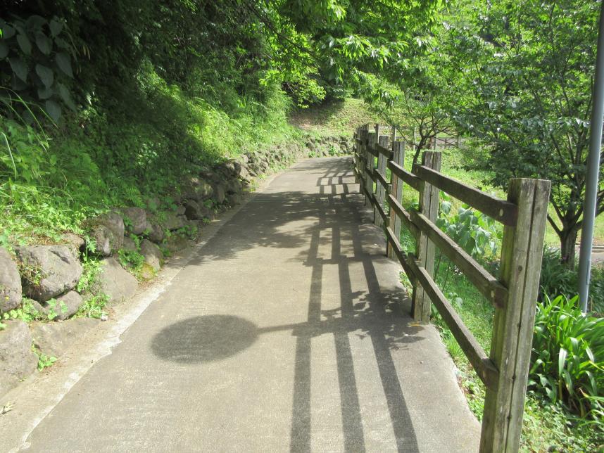芝生広場への道
