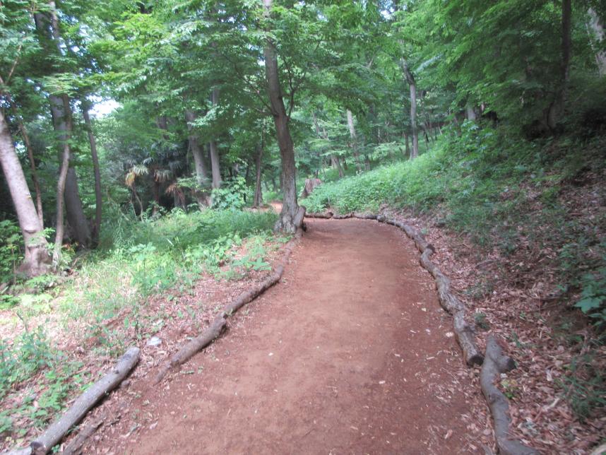 展望広場への道