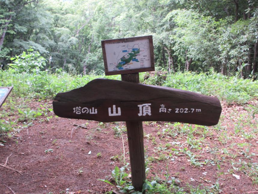 山頂の案内図