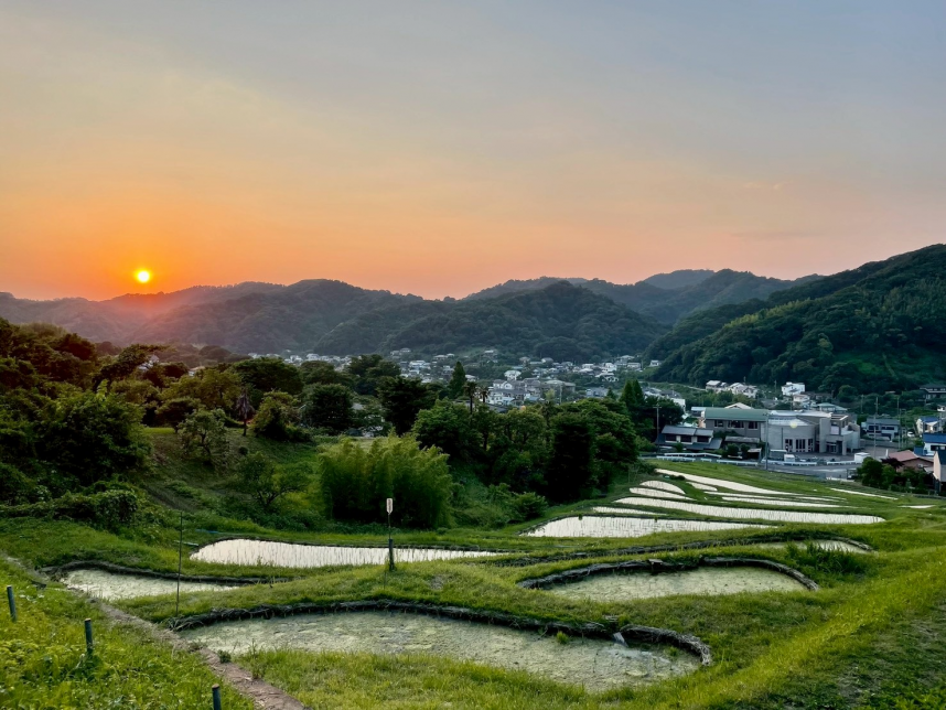 葉山町上山口にある棚田