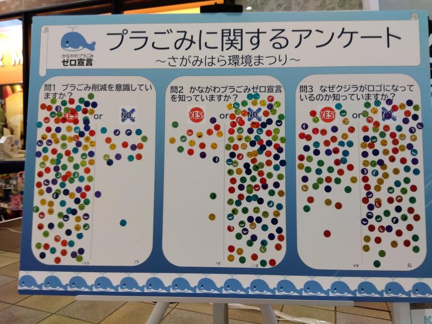 アンケート