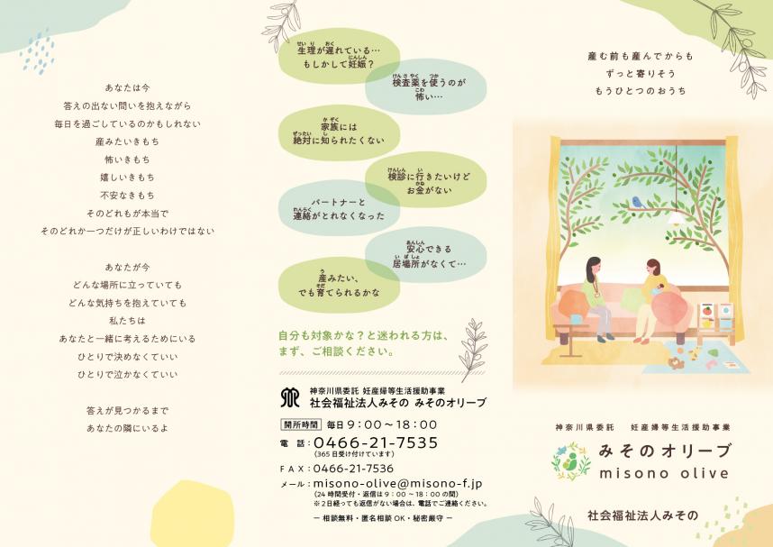 misonooliveleaflet1