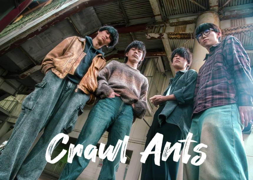 Crawl Ants