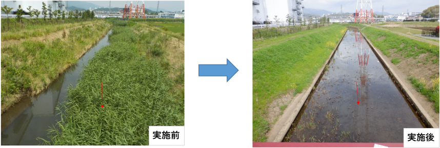 simokasuya