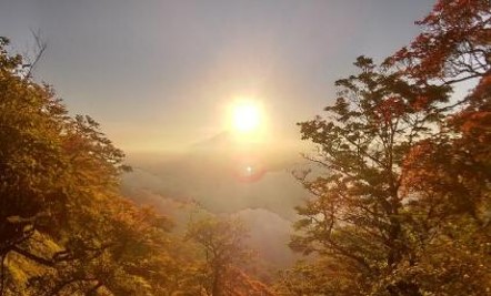 10月10日塔ノ岳標高1400メートル色づき始め