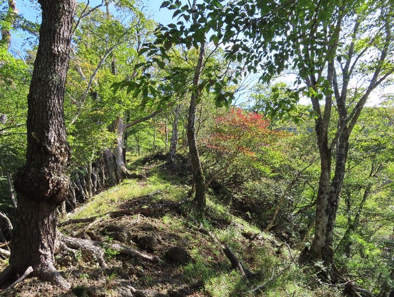 10月6日烏尾山山頂色づき始め