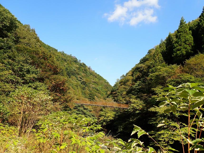 10月9日丹沢山標本谷登山口色づき始め